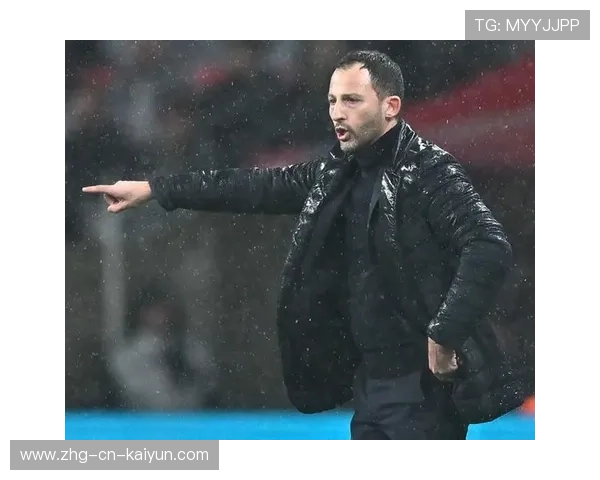 狼队管理层震荡：多梅尼科-泰蒂离职背后的深意与未来展望，多梅尼科·特德斯科